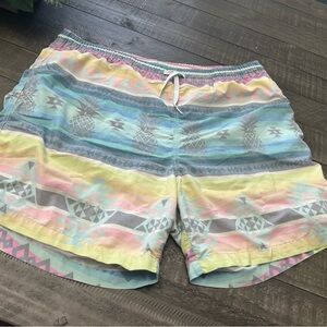 Chubbies Colorful Geometric Patterned Shorts